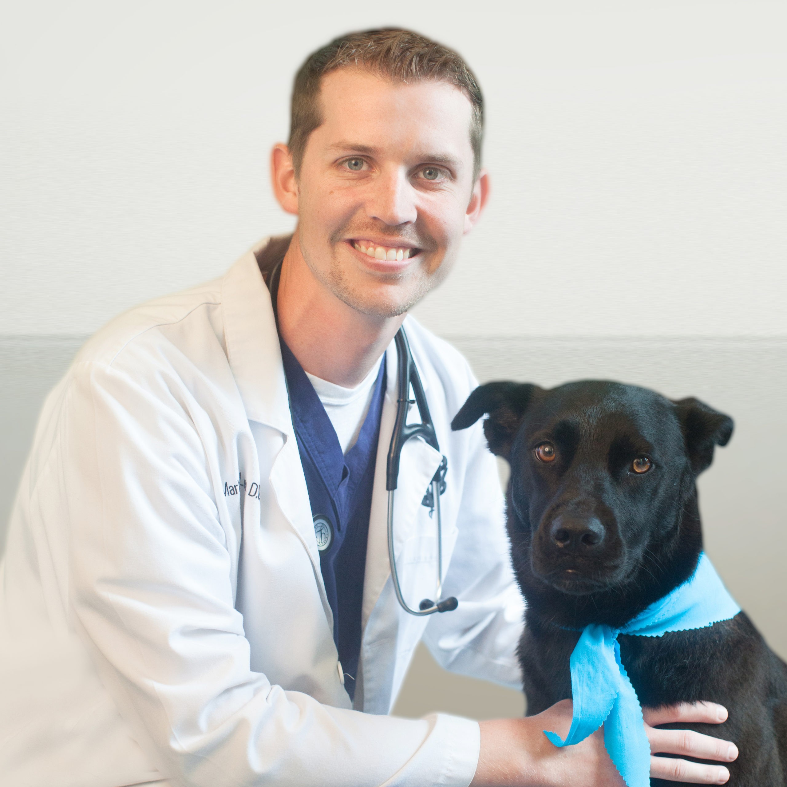 Veterinarian Academy Animal Hospital Drs Schillig And Mcnair